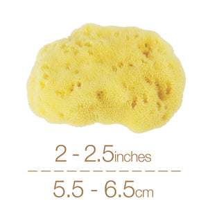 
            
                Load image into Gallery viewer, NATURAL INTIMACY Menstrual Sea Sponges - Bleached Medium (3 Pack)
            
        