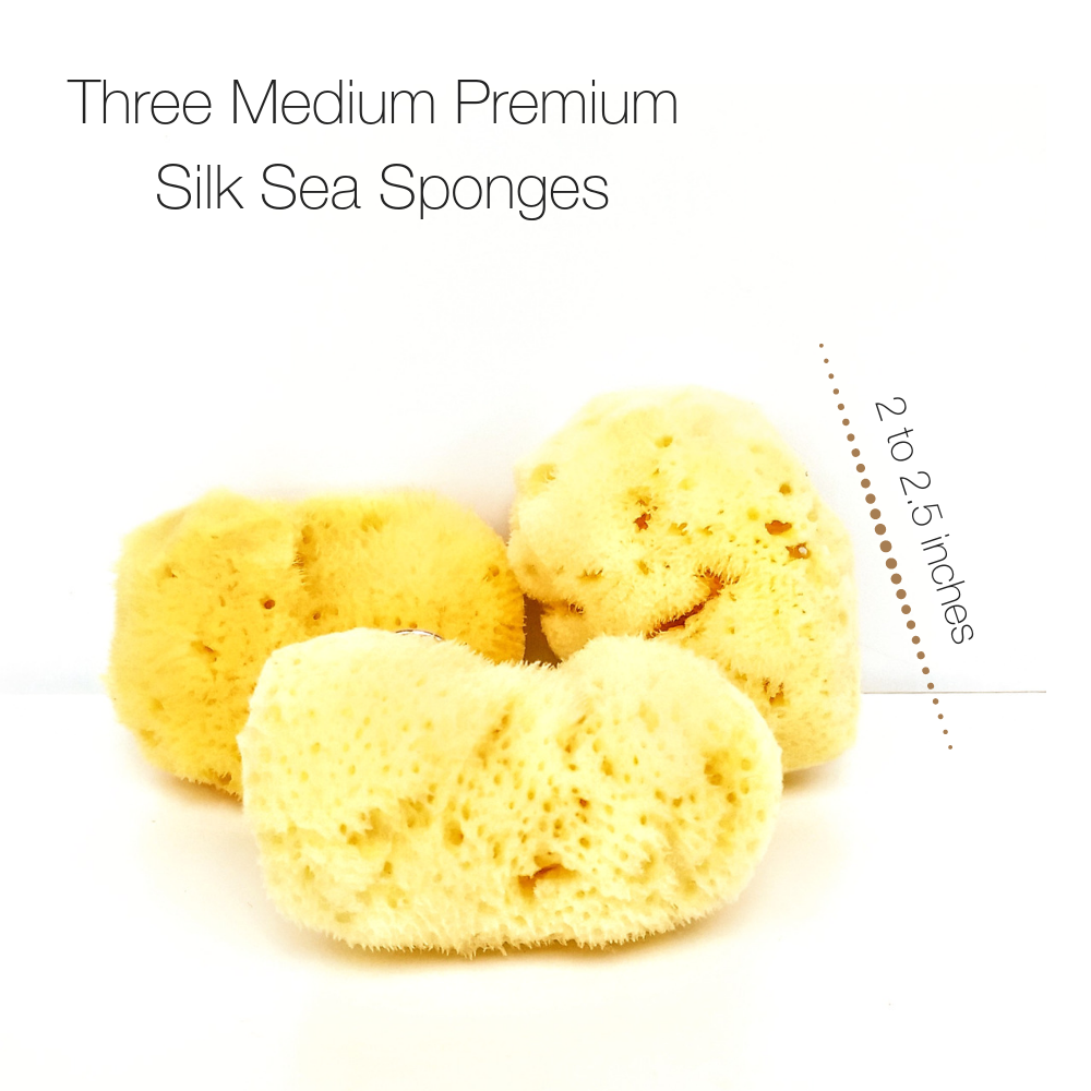 
            
                Load image into Gallery viewer, NATURAL INTIMACY Menstrual Sea Sponges - Bleached Medium (3 Pack)
            
        